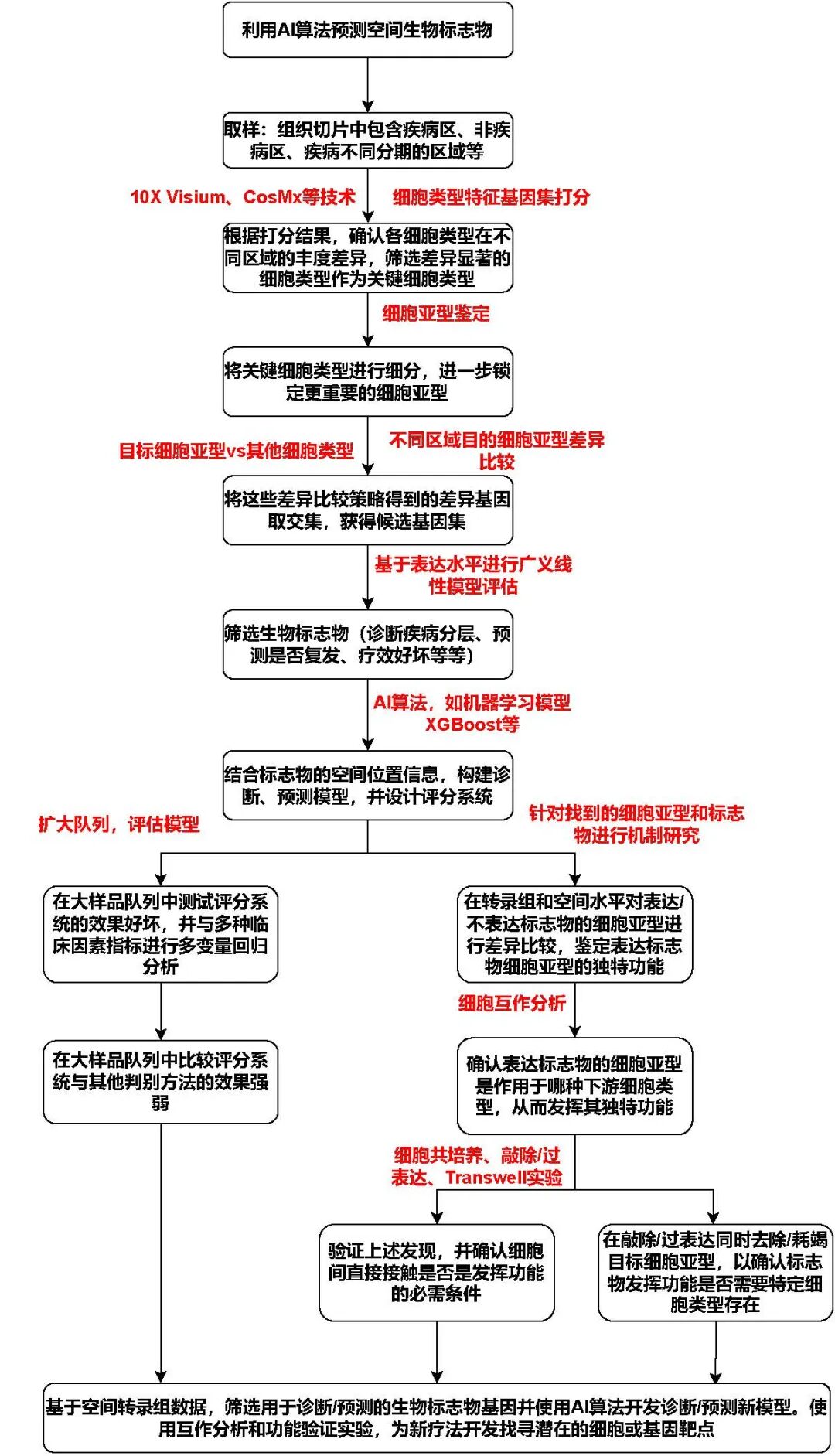 【芯空一号快讯】空间多组学研究思路分享（三）：利用AI算法预测空间生物标志物