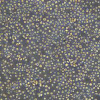 人淋巴母细胞伯基特淋巴瘤细胞Raji(Luc1)现货