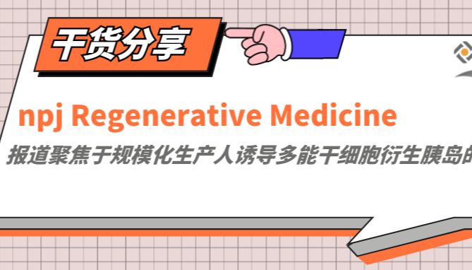 2025综述 | 报道聚焦于规模化生产iPSC人诱导多能干细胞衍生胰岛的方法