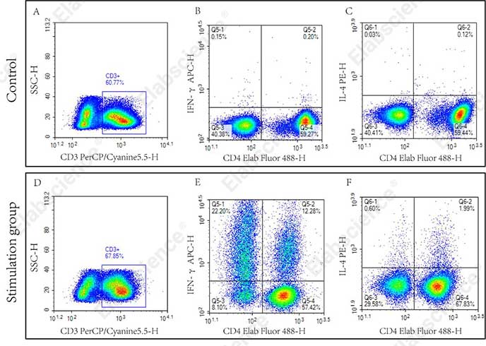 Elabscience 人Th1/Th2 流式细胞术染色试剂盒：一步解锁免疫细胞检测新效率