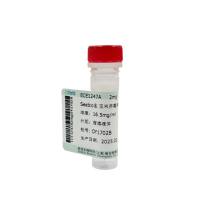 Seebio® 玉米赤霉烯酮降解酶ZHD101