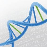 类器官全基因组测序(WGS)