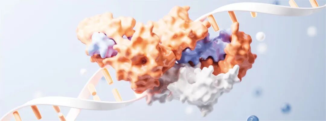 新品推荐】D1524高速离心机——为高效实验而生！