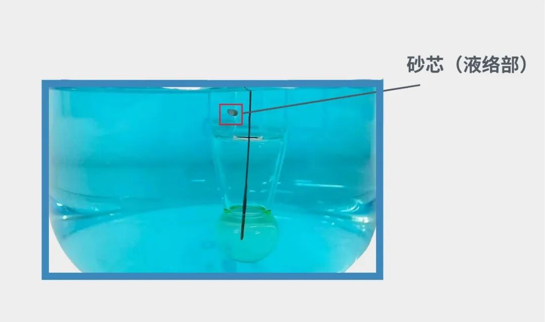 pH电极的使用和维护技巧