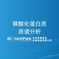 磷酸化蛋白质质谱分析