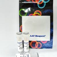 Cal-520FF™, AM AAT