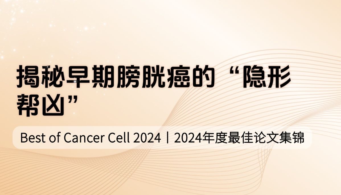 Best of Cancer Cell 2024（五）| 揭秘早期膀胱癌的“隐形帮凶”
