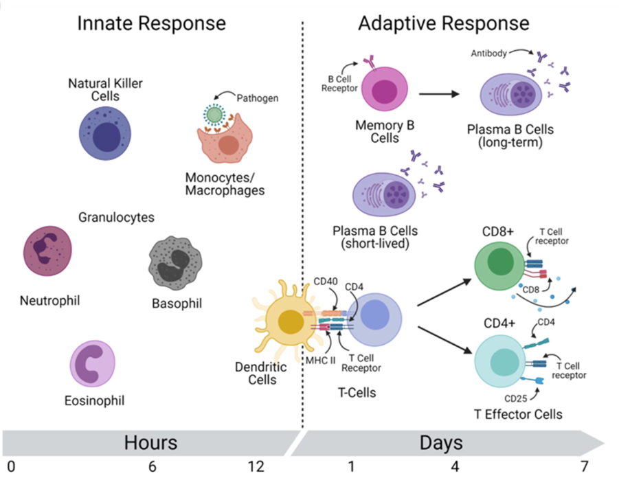 流式细胞术在感染性疾病中的应用