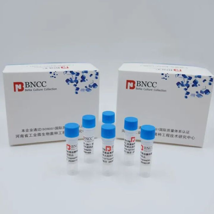 细胞内分枝杆菌胞内亚种脱氧核糖核酸液体室内质控品