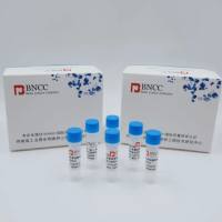 细胞内分枝杆菌胞内亚种脱氧核糖核酸液体室内质控品