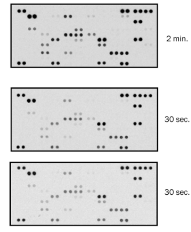 嘿！关于抗体芯片的FAQ来喽~ （干货分享）