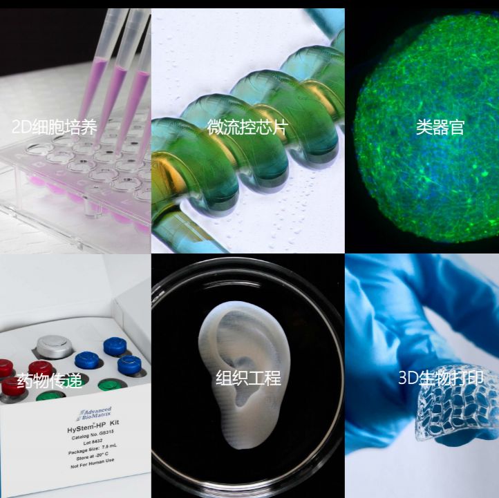 Advanced BioMatrix 生物材料 3D组织工程 