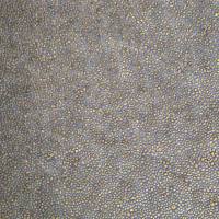 浙江美森-人淋巴母细胞伯基特淋巴瘤细胞Raji(Luc2)现货