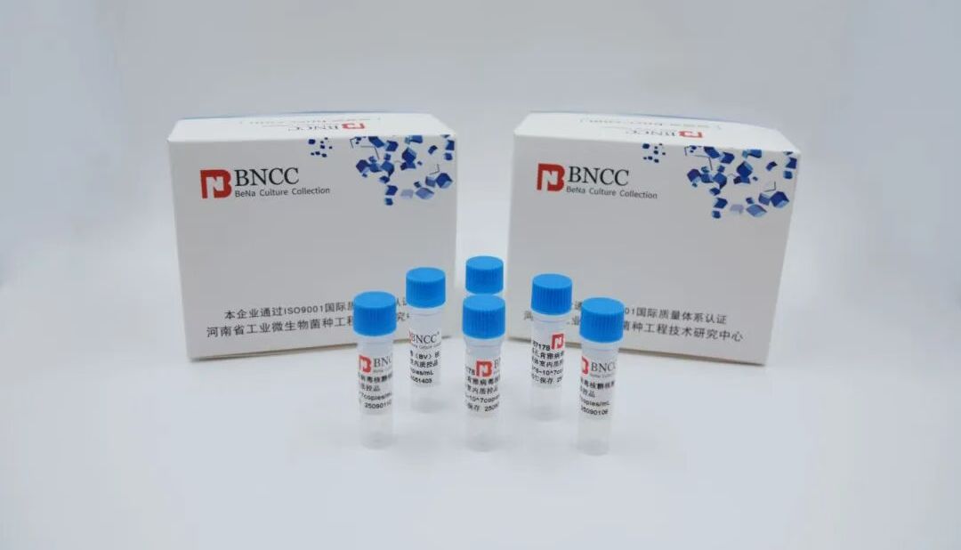 精准质控！伟业生物BNCC细胞内分枝杆菌胞内亚种DNA质控品