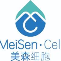 浙江美森-小鼠原代雪旺细胞