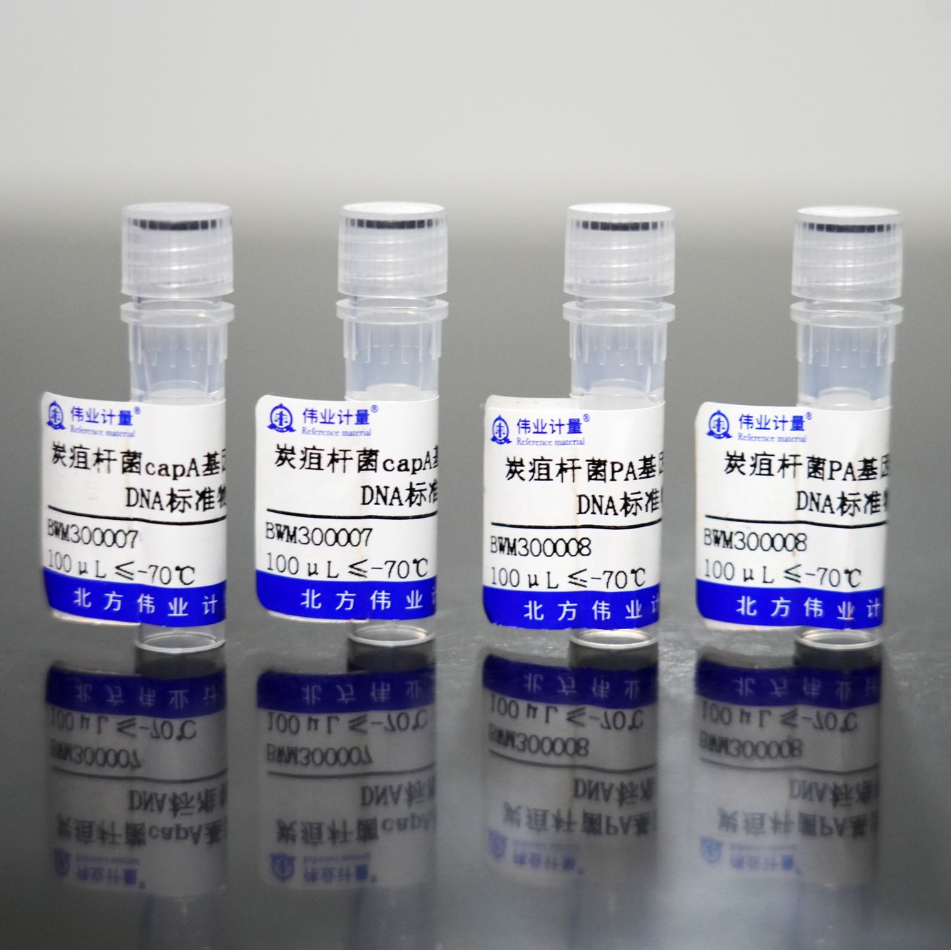 炭疽杆菌基因检测质粒DNA标准物质