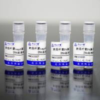 炭疽杆菌基因检测质粒DNA标准物质