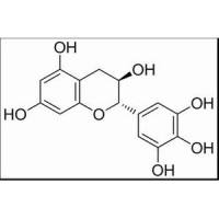 没食子儿茶素