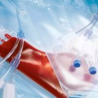 美天旎冻存袋CryoMACS Freezing Bag 冻存袋250ml(200-074-401)