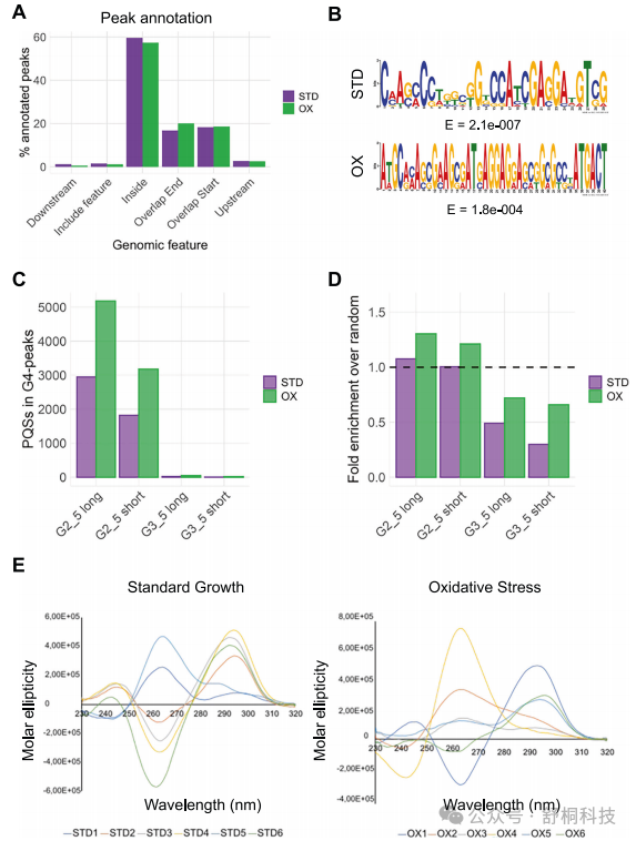 Nature Communications|Tn5助力CUT&Tag揭秘结核分枝杆菌应激机制