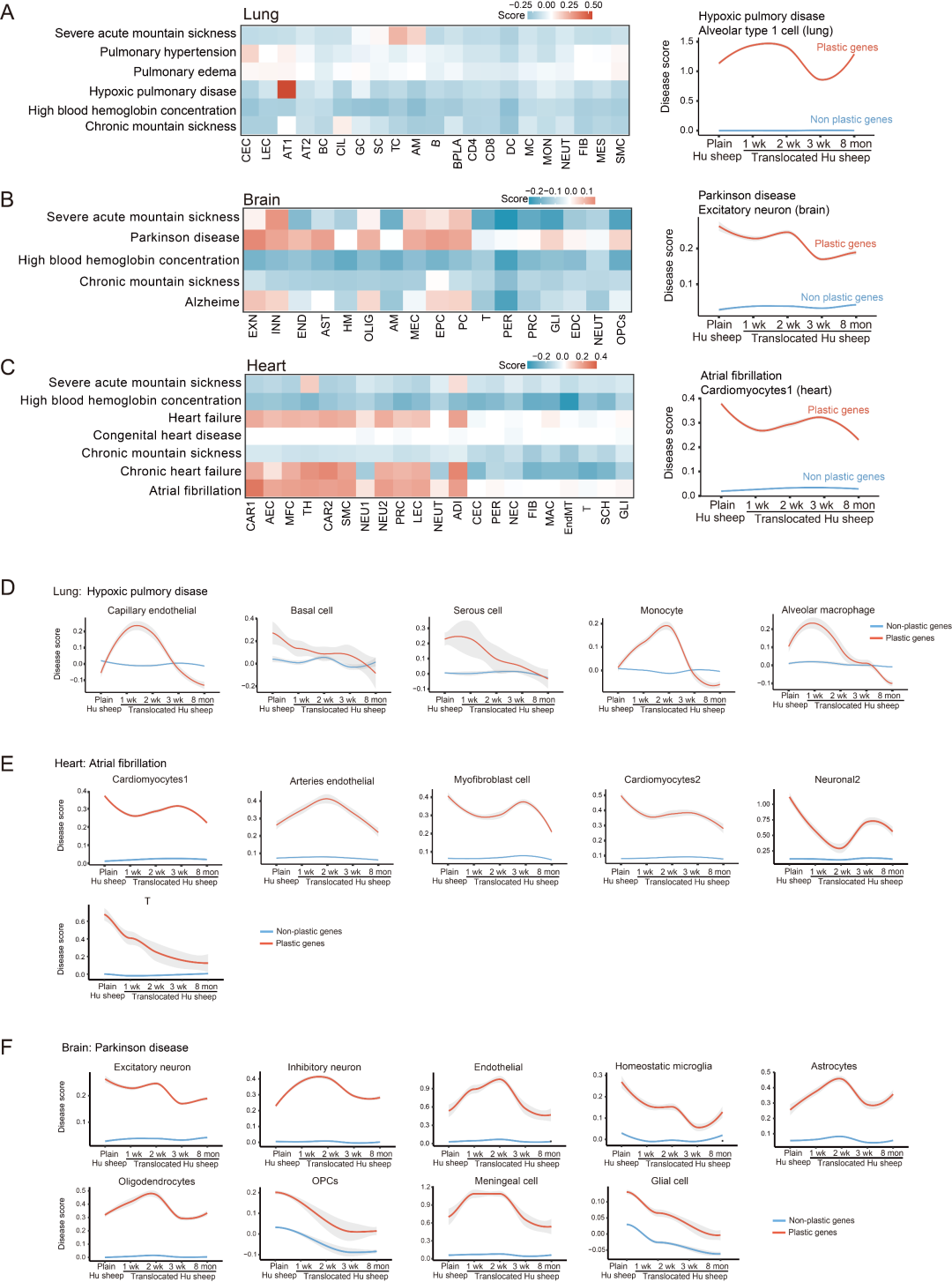 项目文章 | 单细胞+单细胞核测序揭示了表型可塑性与遗传进化的关系以及低氧适应的细胞调控机制