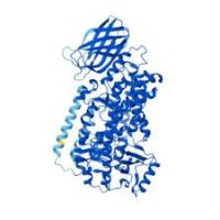 重组人Polyunsaturated Fatty Acid Lipoxygenase ALOX15