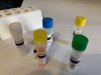 转基因植物NOS 终止子核酸检测试剂盒(探针法荧光PCR)