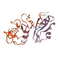 重组人NeuN蛋白 | Recombinant Human NeuN/RBFOX3, 1-105aa, His-tag