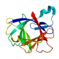 重组人IL-1 beta蛋白 | Recombinant Human IL-1 beta, 117-269aa, His-tag