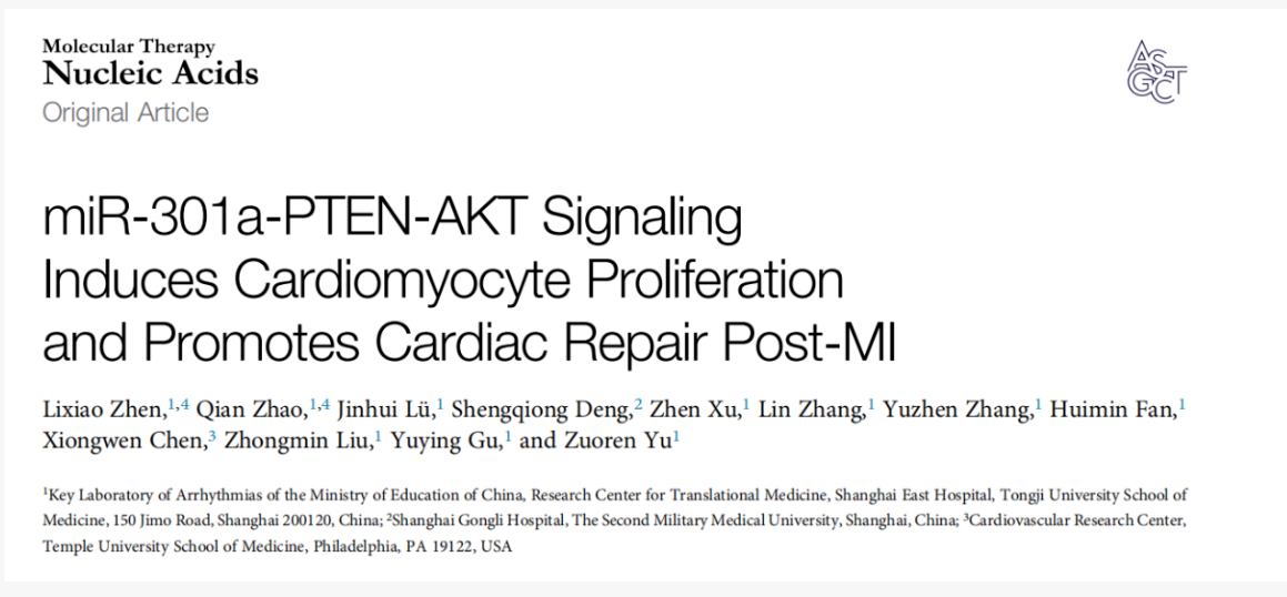 AAV靶向心脏研究指南