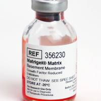 康宁356230 Corning® Matrigel® 生长因子减量(GFR) 基底膜基质，不含LDEV，5 mL