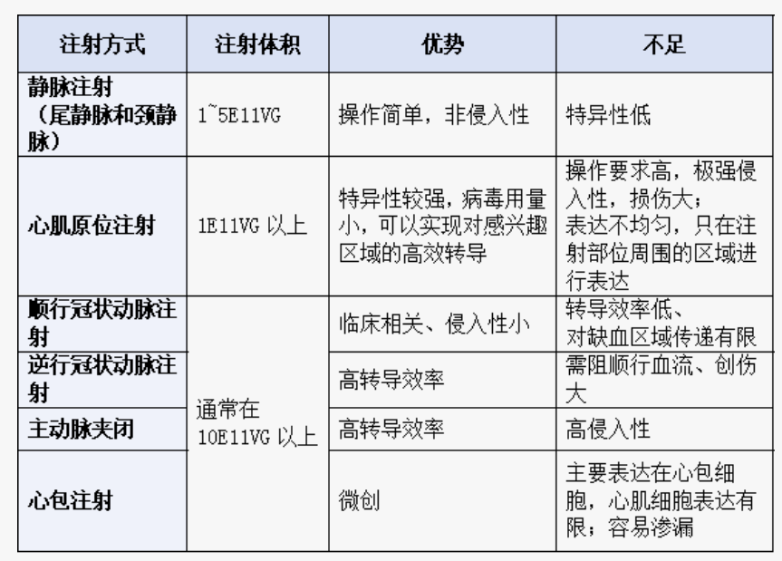 AAV靶向心脏研究指南