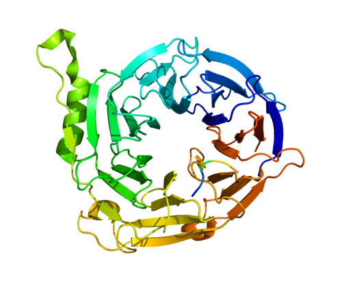 重组人EED蛋白 | Recombinant Human E