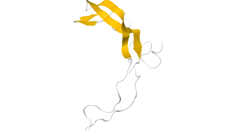 重组人Sclerostin蛋白 | Recombinant 