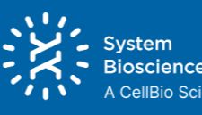 SBI去外泌体胎牛血清(Exosome-depleted FBS)