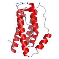 重组人IL-6/IL-6R alpha蛋白 | Human IL-6/IL-6R alpha, 20-358&30-212 aa, His-tag