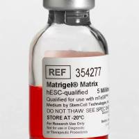 BD354277 Corning® Matrigel® 基质，适用于hESC，不含LDEV，5 mL