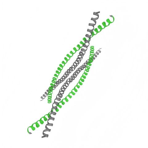 重组人KRT2蛋白 | Recombinant Human KRT2, 7-160aa, His-tag