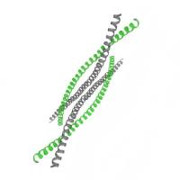 重组人KRT2蛋白 | Recombinant Human KRT2, 7-160aa, His-tag