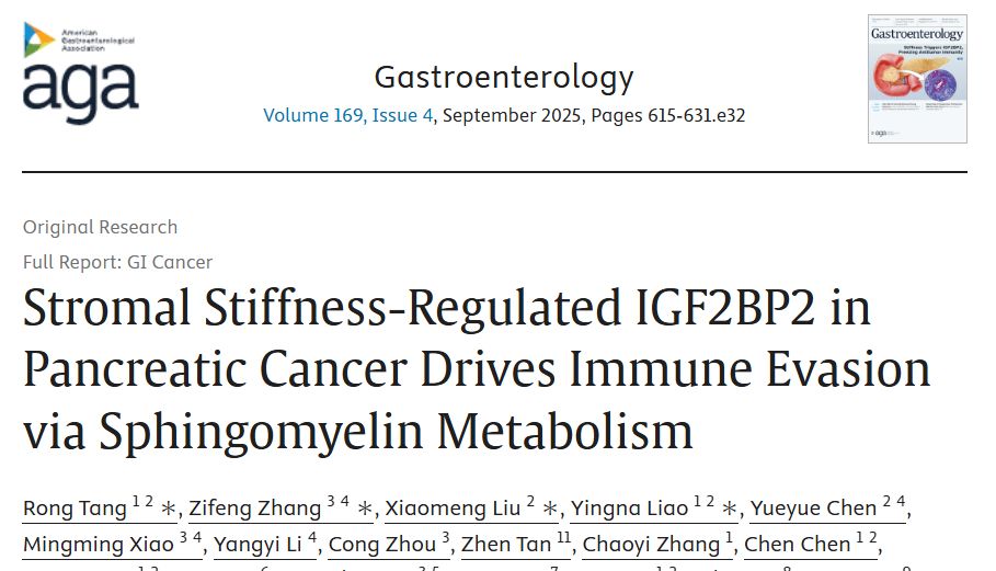 【IF 25.1】解锁胰腺癌免疫逃逸新机制！Absin 产品助力《Gastroenterology》研究破解治疗难题