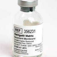 356231 Corning® Matrigel® 生长因子减量(GFR) 基底膜基质，不含酚红，不含LDEV，10 mL