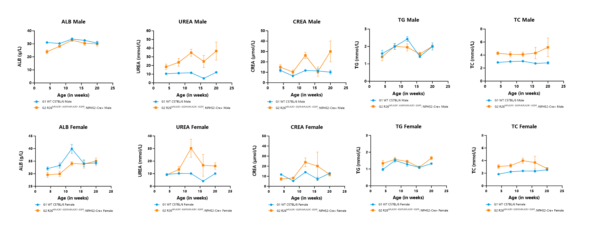 瞄准PLA2R1！无需干预，南模生物自发膜性肾病模型