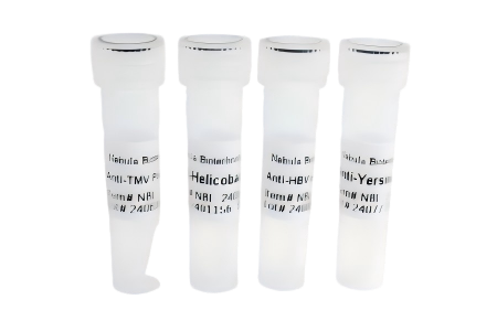 重组人CD15蛋白 | Recombinant Human 