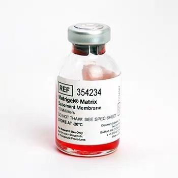 康宁354234 Corning® Matrigel® 基底膜基质，不含LDEV，10 mL