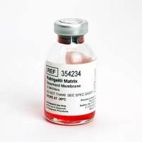 康宁354234 Corning® Matrigel® 基底膜基质，不含LDEV，10 mL