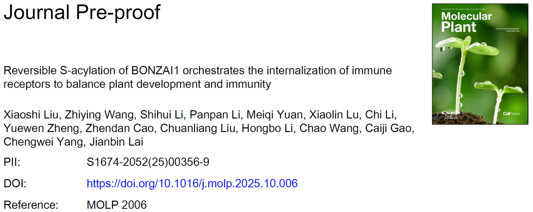 华南师范大学阳成伟/赖建彬教授团队解析蛋白修饰如何引导免疫受体“精准下班”？