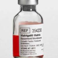 康宁基质胶354230 Corning® Matrigel® 生长因子减量 (GFR) 基底膜基质，不含LDEV，10 mL