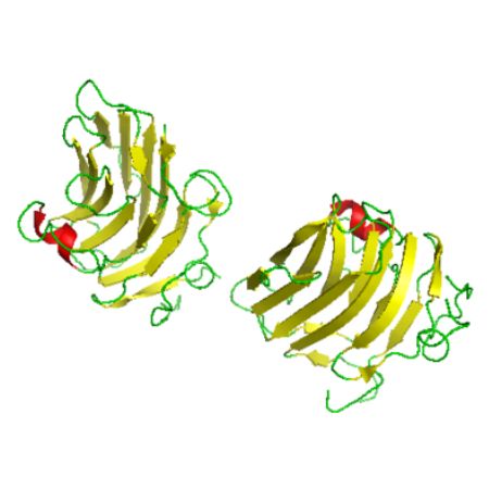 重组人Agrin (AGRN)蛋白 | Recombinant Agrin (AGRN), 1856-2045aa, His-tag
