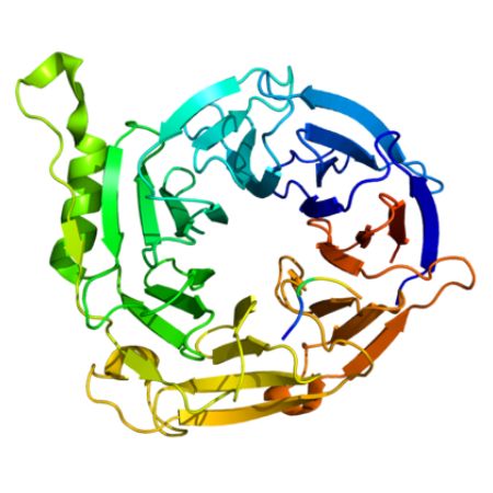 重组人EED蛋白 | Recombinant Human EED, His-GST-tag