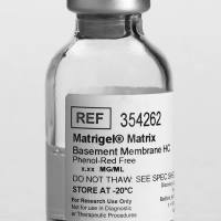 康宁354262 Corning® Matrigel® 基底膜基质，不含酚红，不含LDEV，10 mL